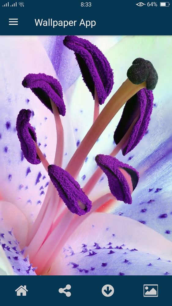 Dynamic Wallpaper App AIA File Open Source Kodular Community