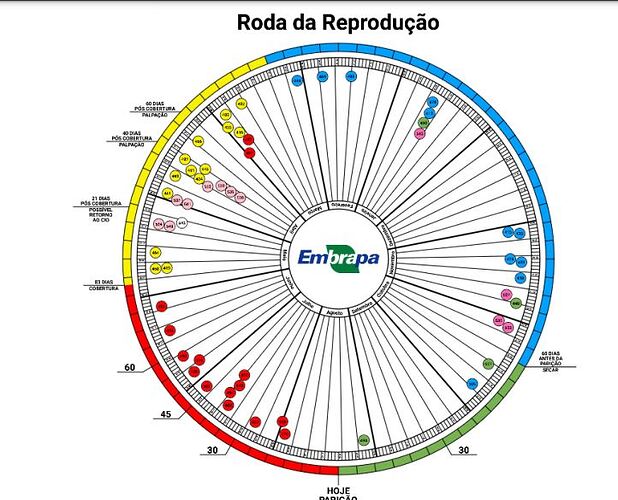 roda