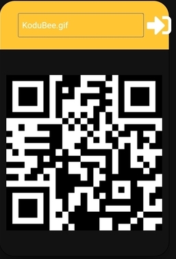 qrCode1